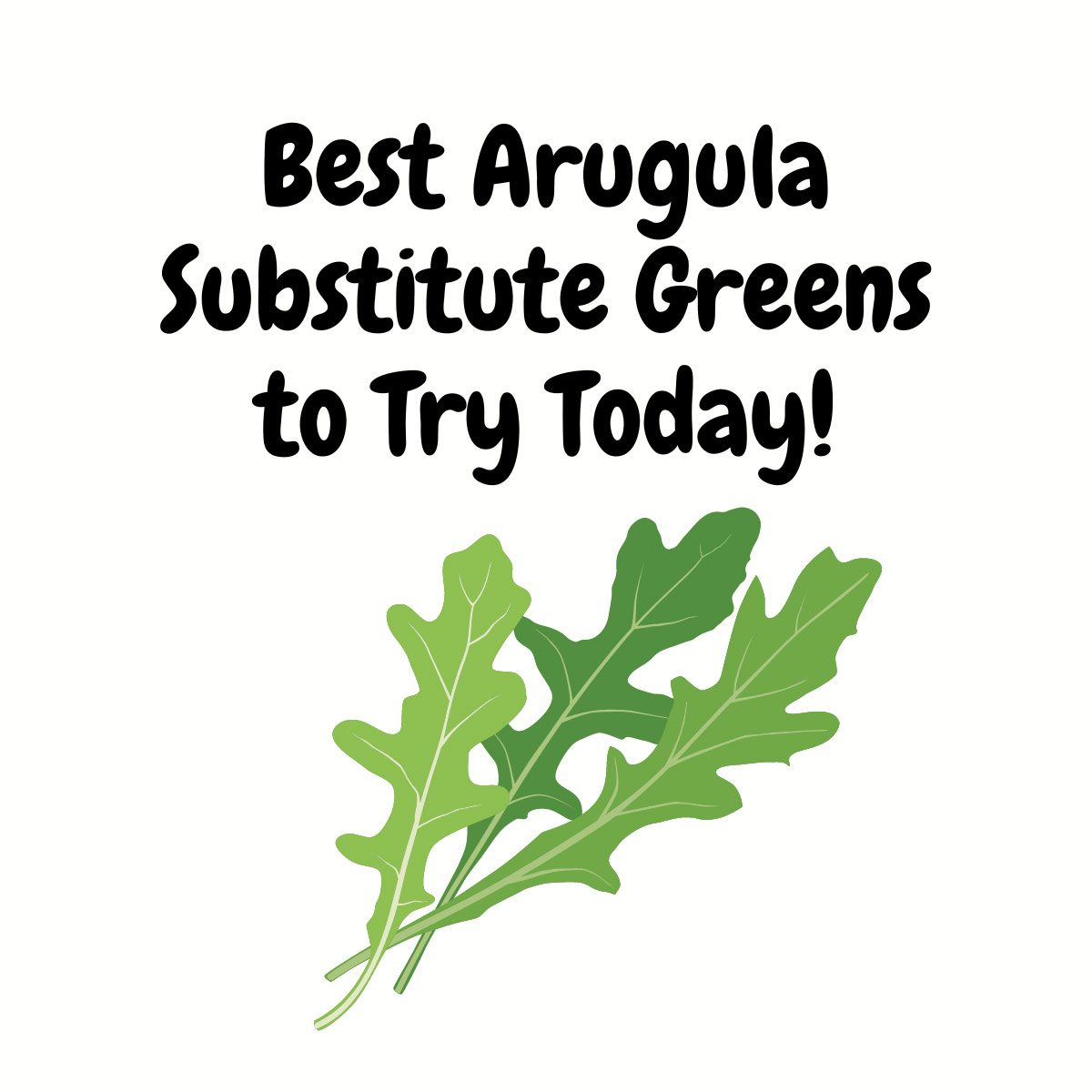 Best Arugula Substitute Greens featured image | Girl Meets Food