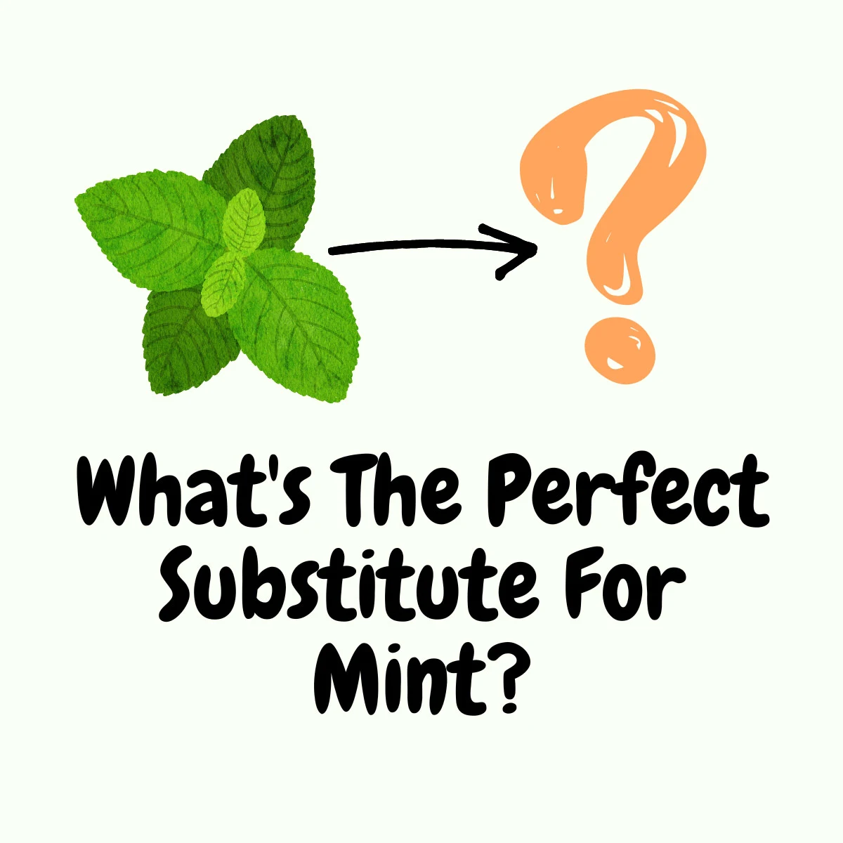 What's The Perfect Substitute For Mint? Fresh Ideas featured image | Girl Meets Food