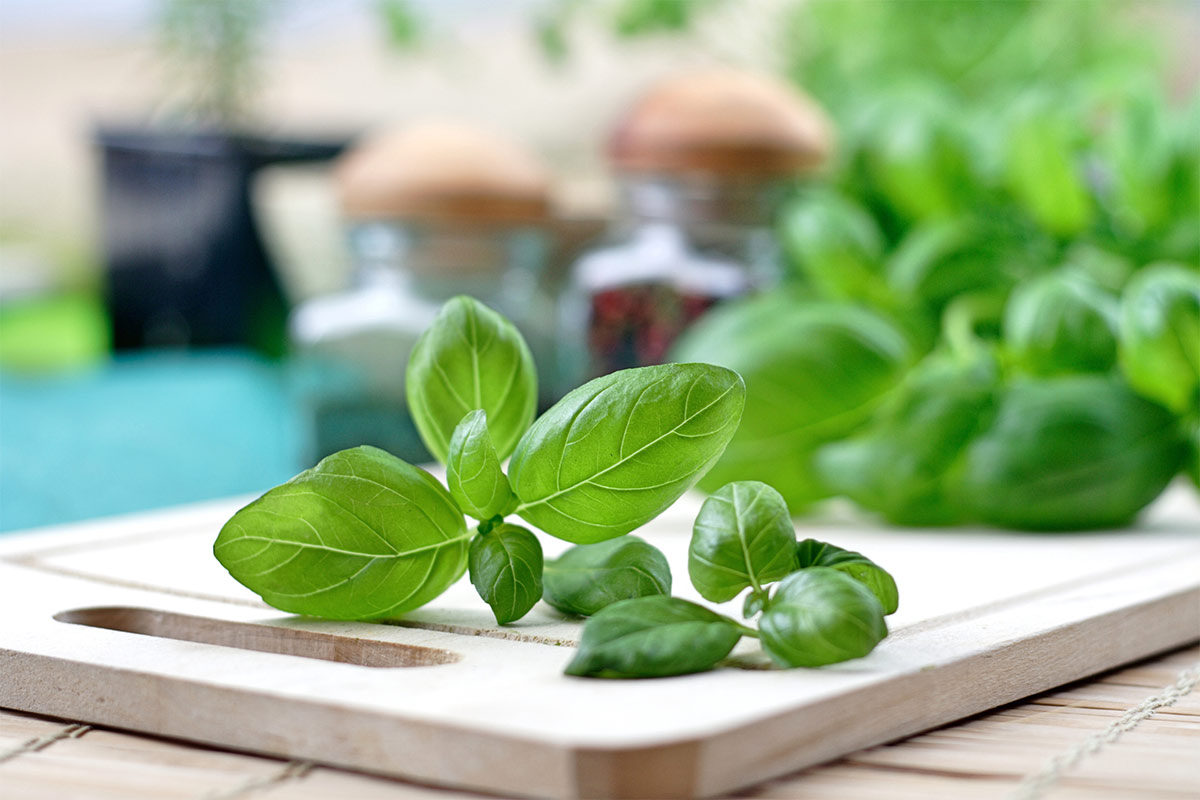 Basil leaves on a cutting board | Girl Meets Food
