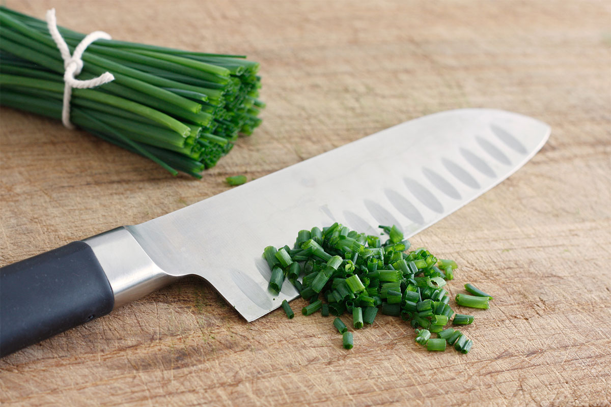 Best Green Onion Substitute (15+ Amazingly Easy Alternatives To Use!)