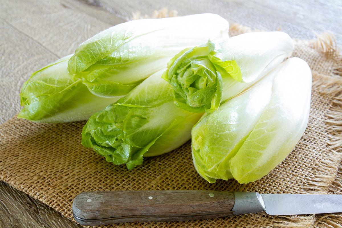 5 endives are on linen cloth. There is a knife next to them | Girl Meets Food