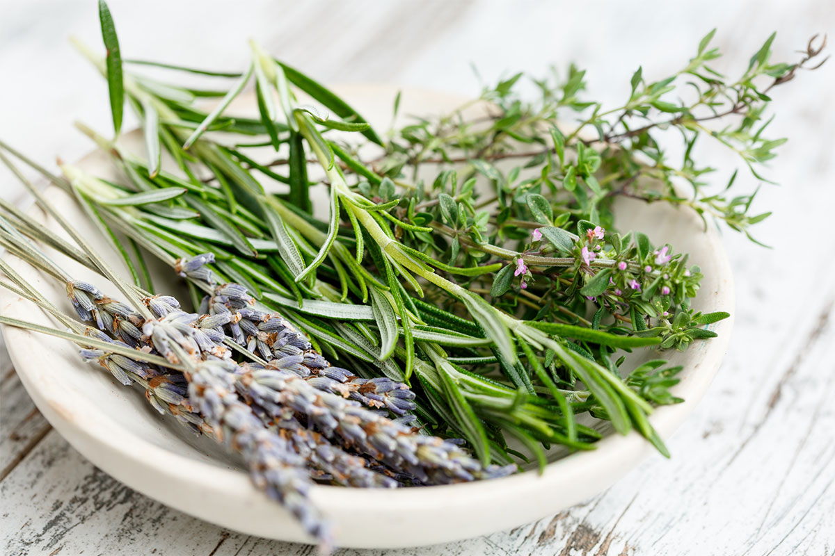 Herbs in a bowl | Girl Meets Food