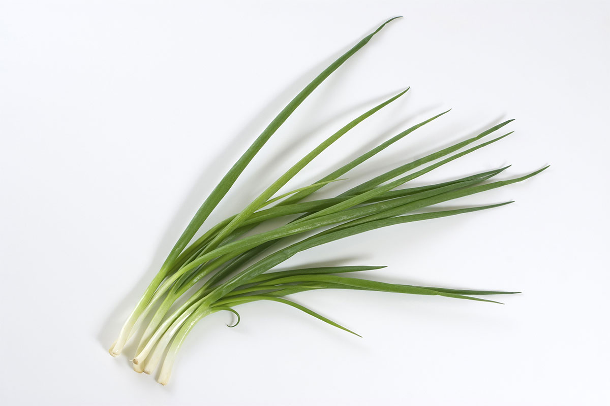 https://girlmeetsfood.com/wp-content/uploads/2023/02/scallion.jpg