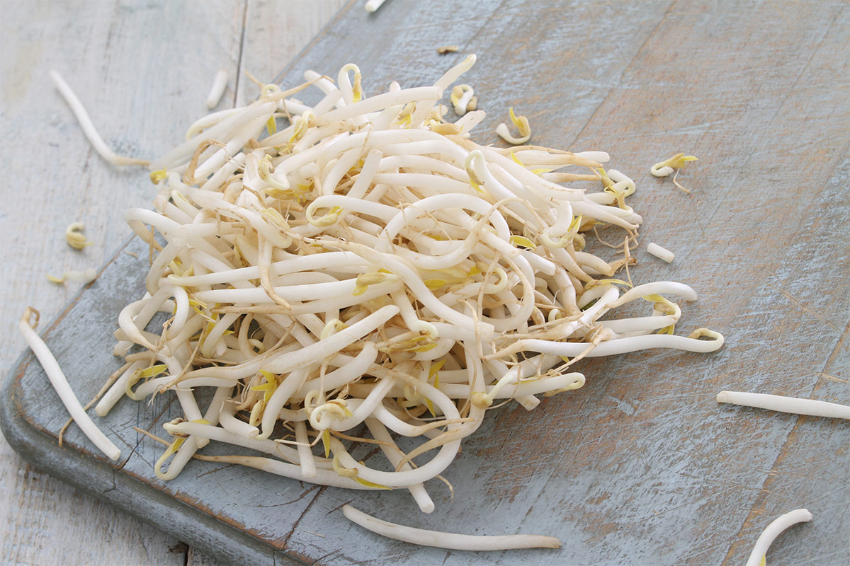 A handful of fresh bean sprouts lie on a white board | Girl Meets Food