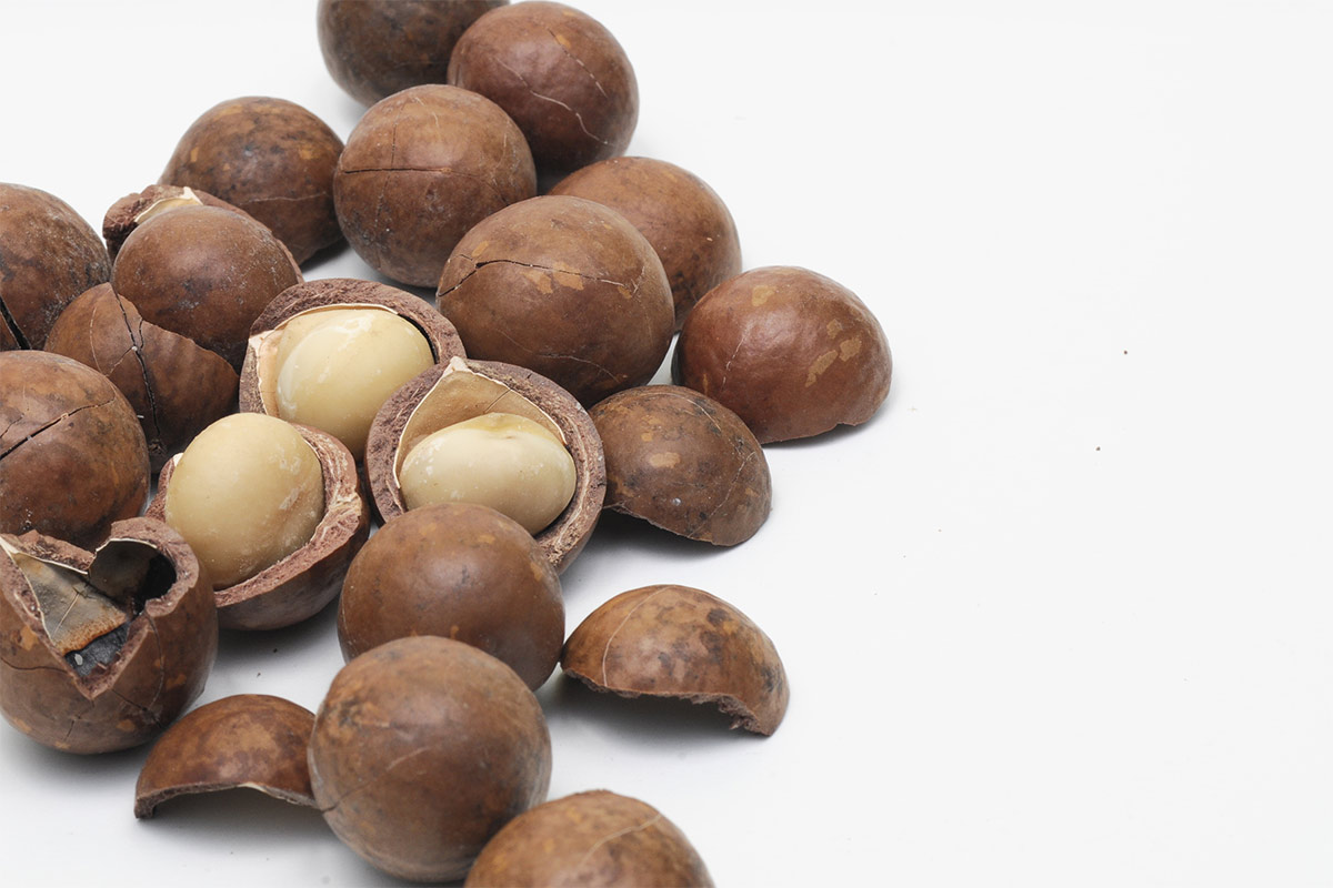 Macadamia nuts on a white surface | Girl Meets Food