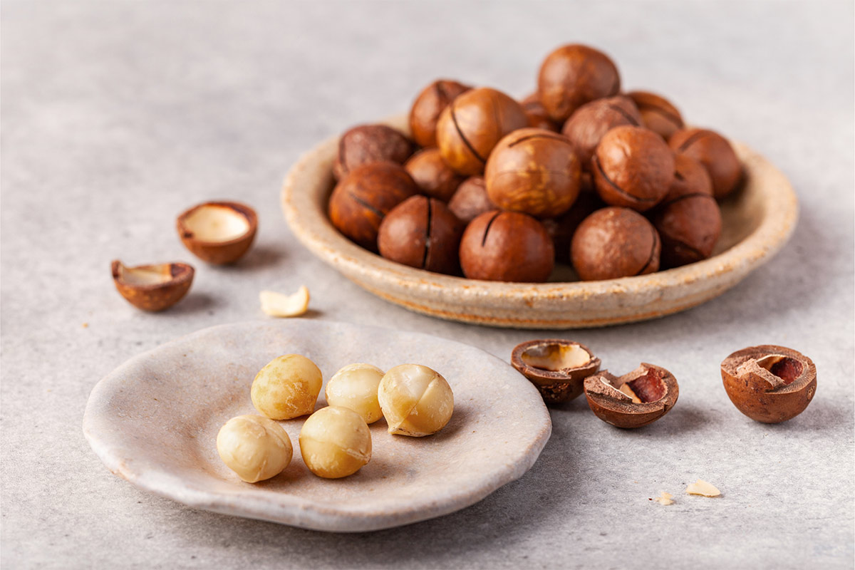 A plate of shelled macadamia nuts and a plate of whole macadamia nuts on a white surface | Girl Meets Food