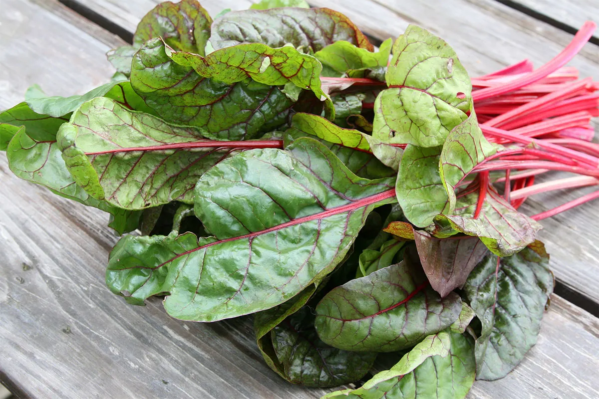 A bunch of Swiss chard lies on a wooden surface | Girl Meets Food