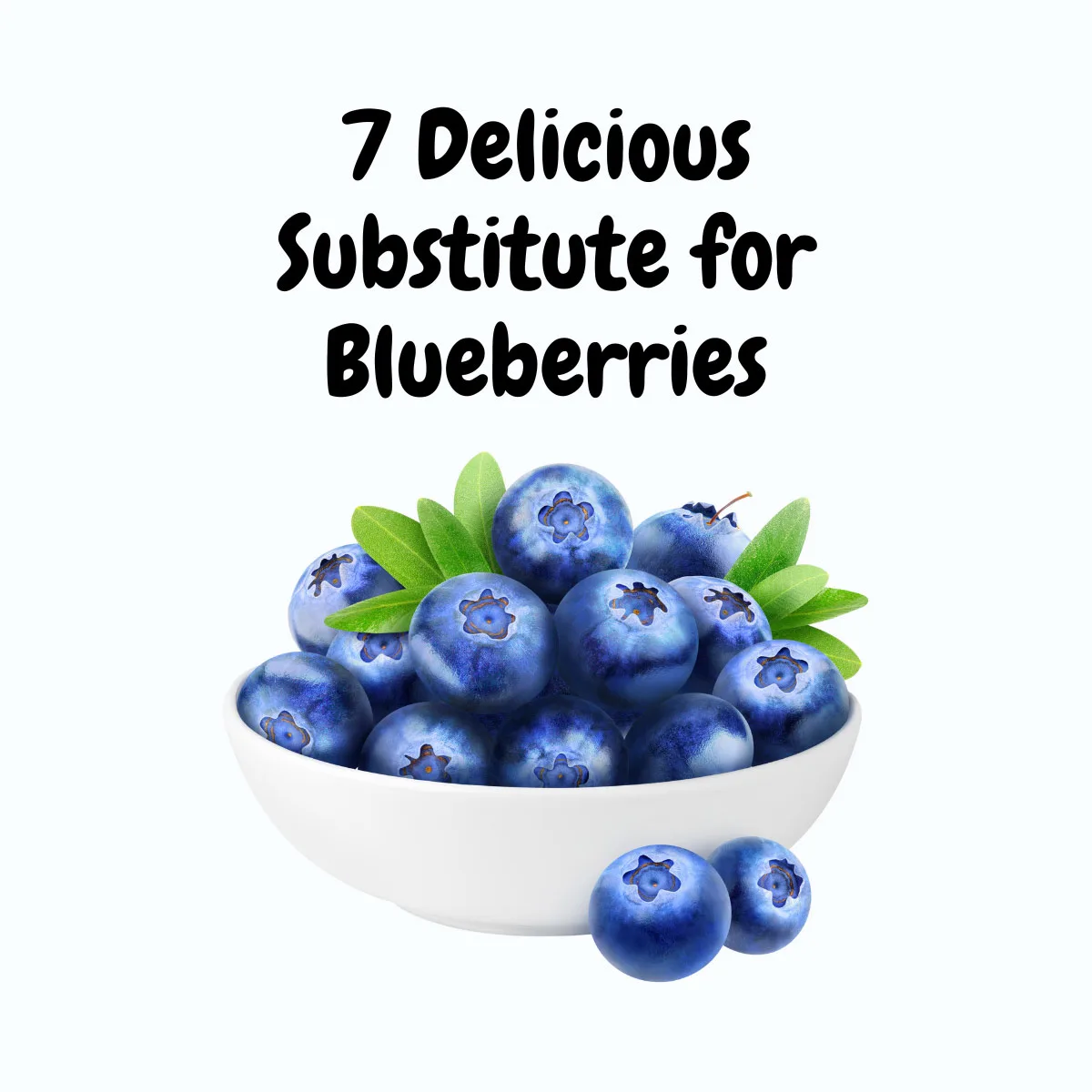 Substitute for Blueberries featured image | Girl Meets Food