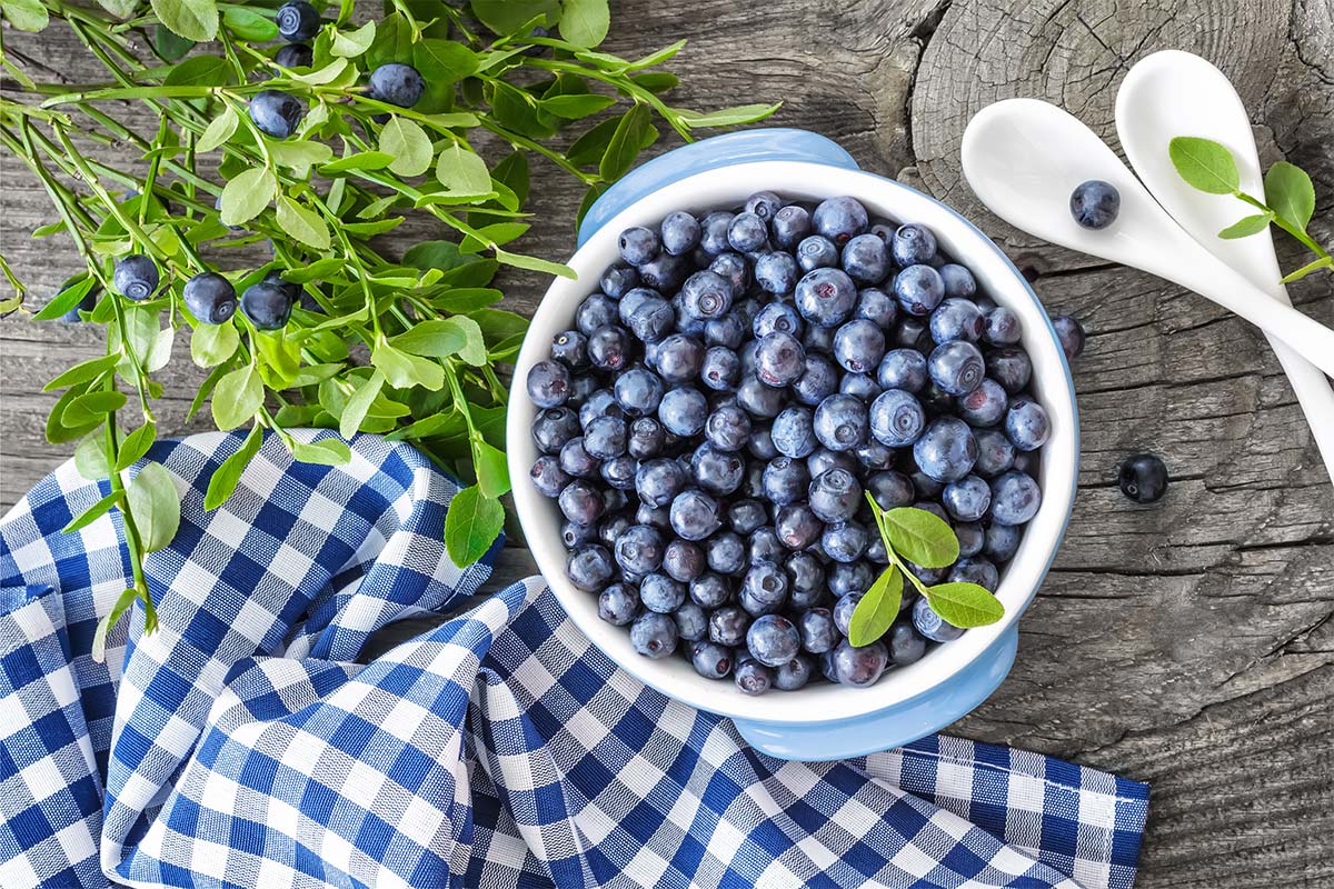 A bowl of blueberries stands on a wooden surface. There are two white ceramic teaspoons, blueberry branches and a towel next to it | Girl Meets Food