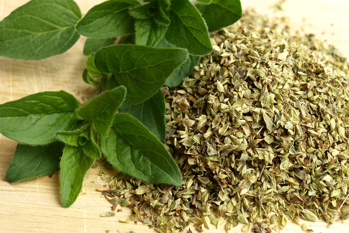 Oregano leaves and dried oregano on a wooden surface | Girl Meets Food