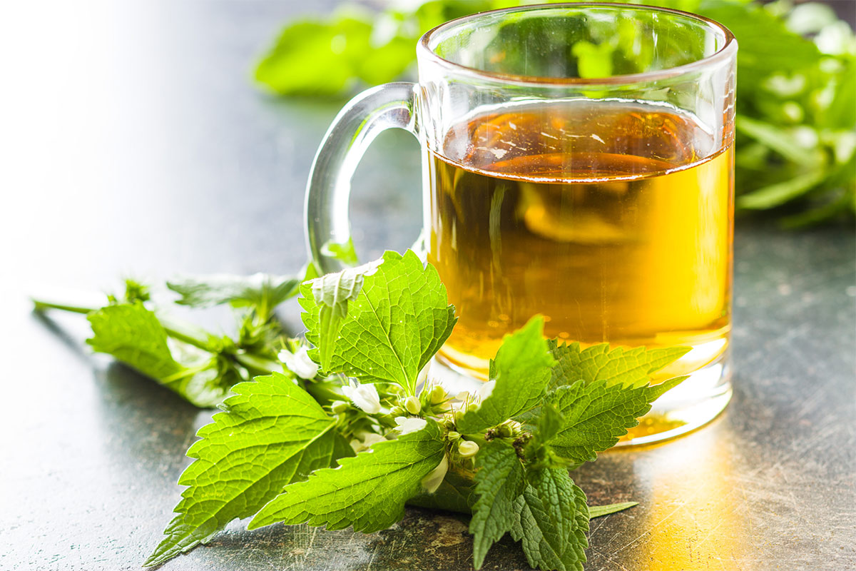 A cup of nettle tea is and nettle leaves are on a grey surface | Girl Meets Food