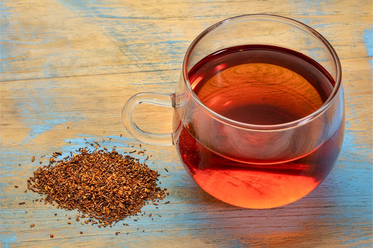 A cup of rooibos tea and dried tea on a table | Girl Meets Food