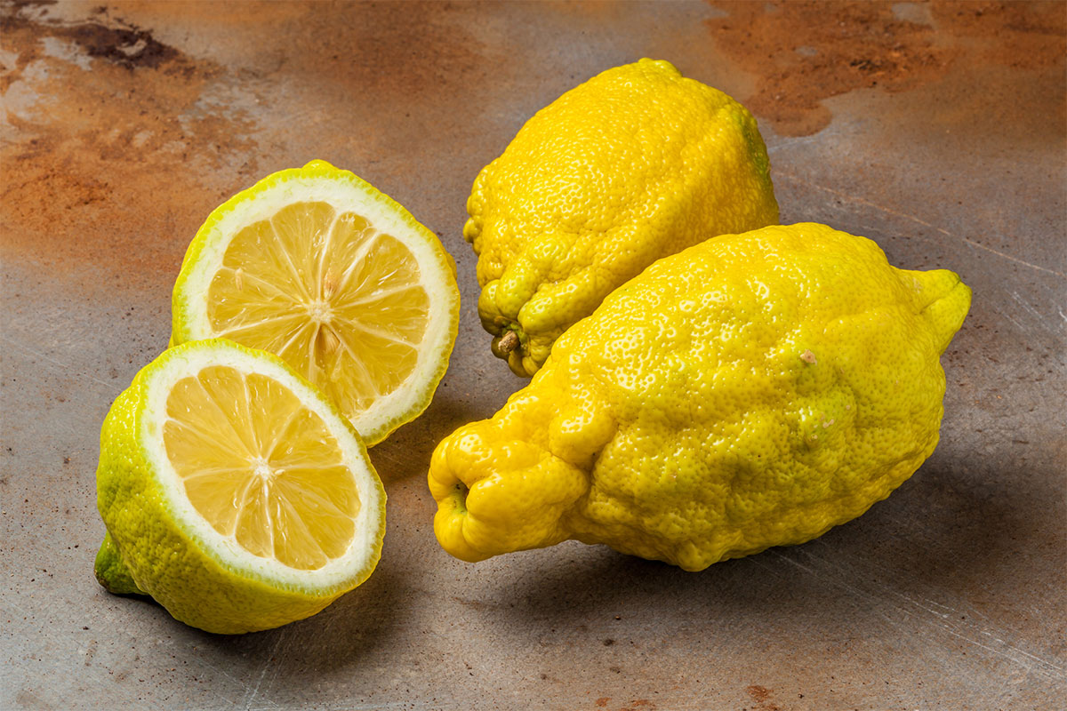 Rough lemons and halves on stone surface | Girl Meets Food