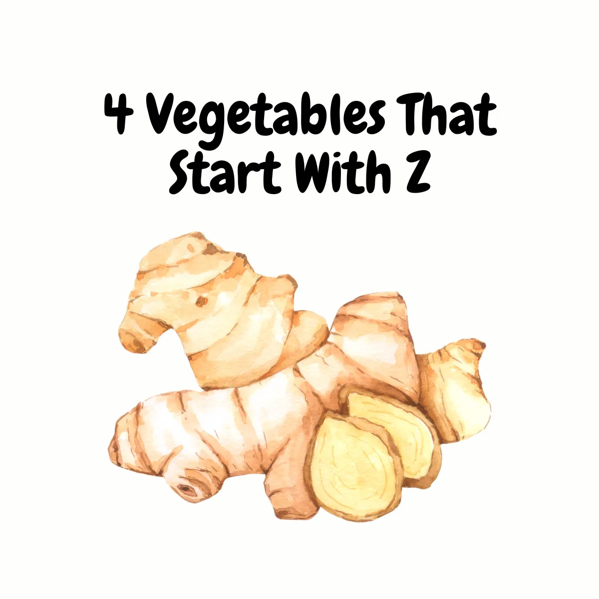 Vegetables That Start With Z featured image | Girl Meets Food