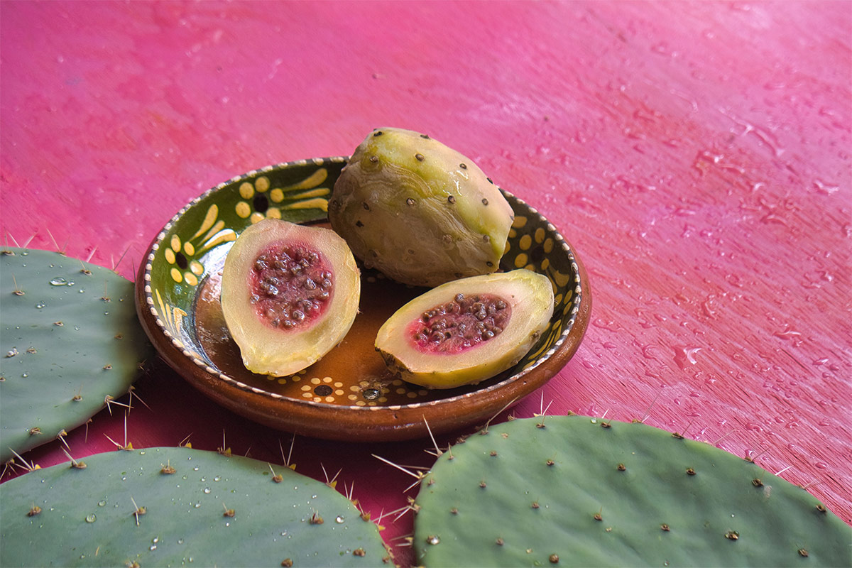 Mexican xoconostles on a plate. There are some cactus leaves next to the plate | Girl Meets Food