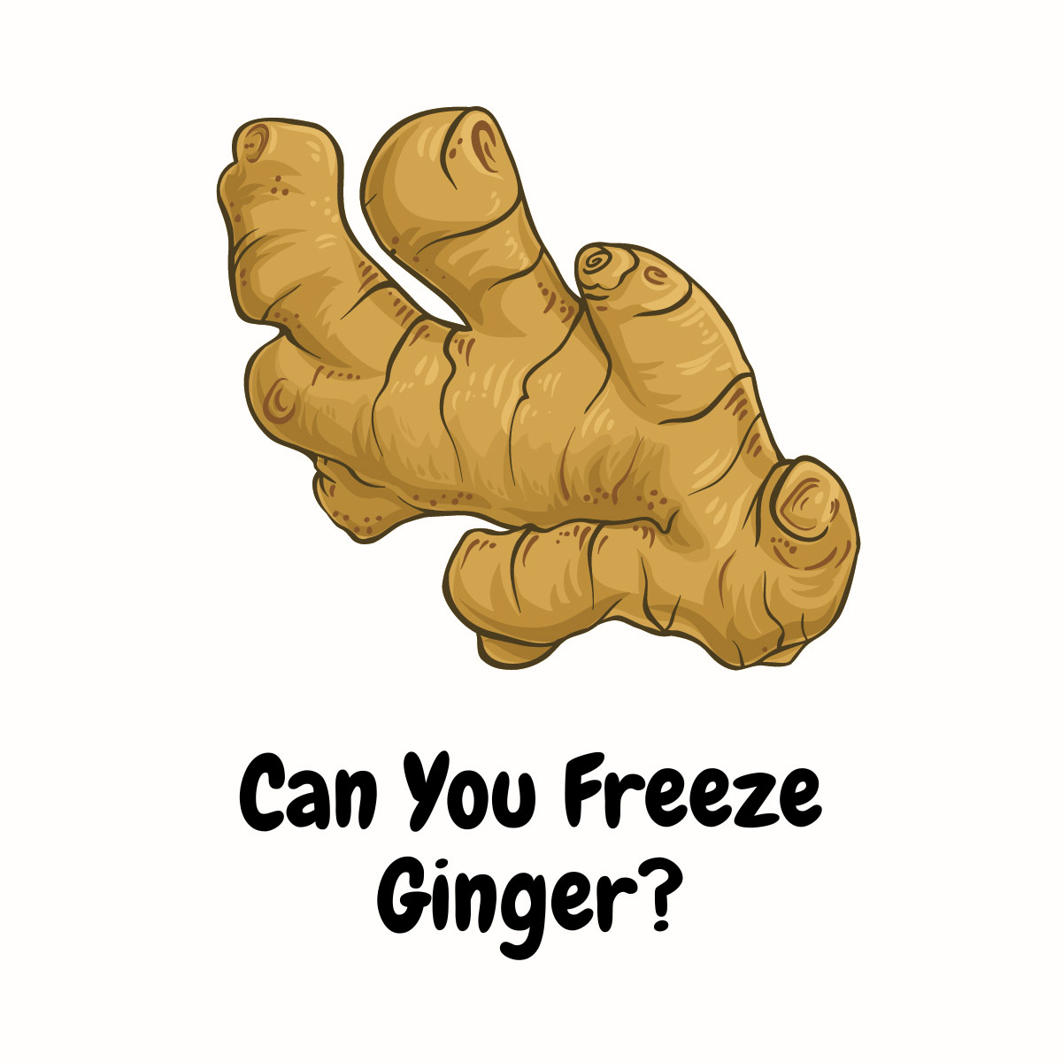 Can You Freeze Ginger featured image | Girl Meets Food