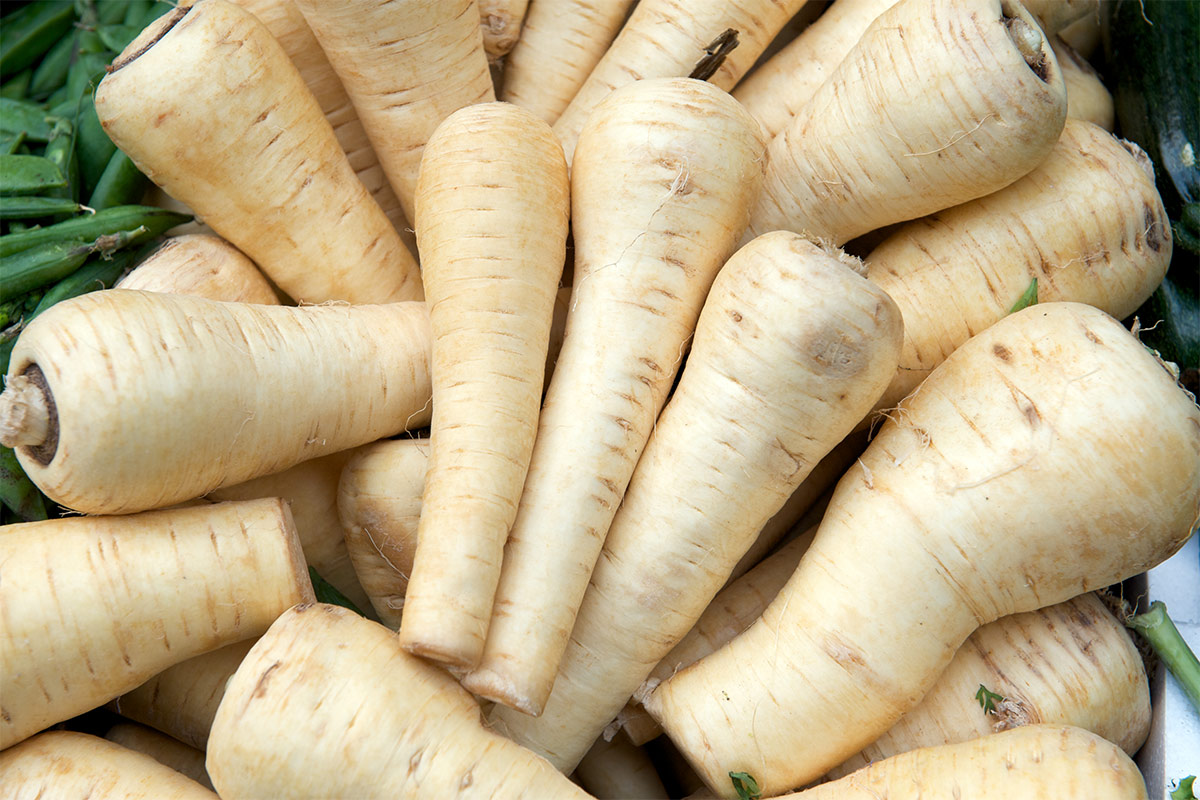 Several parsnip roots | Girl Meets Food