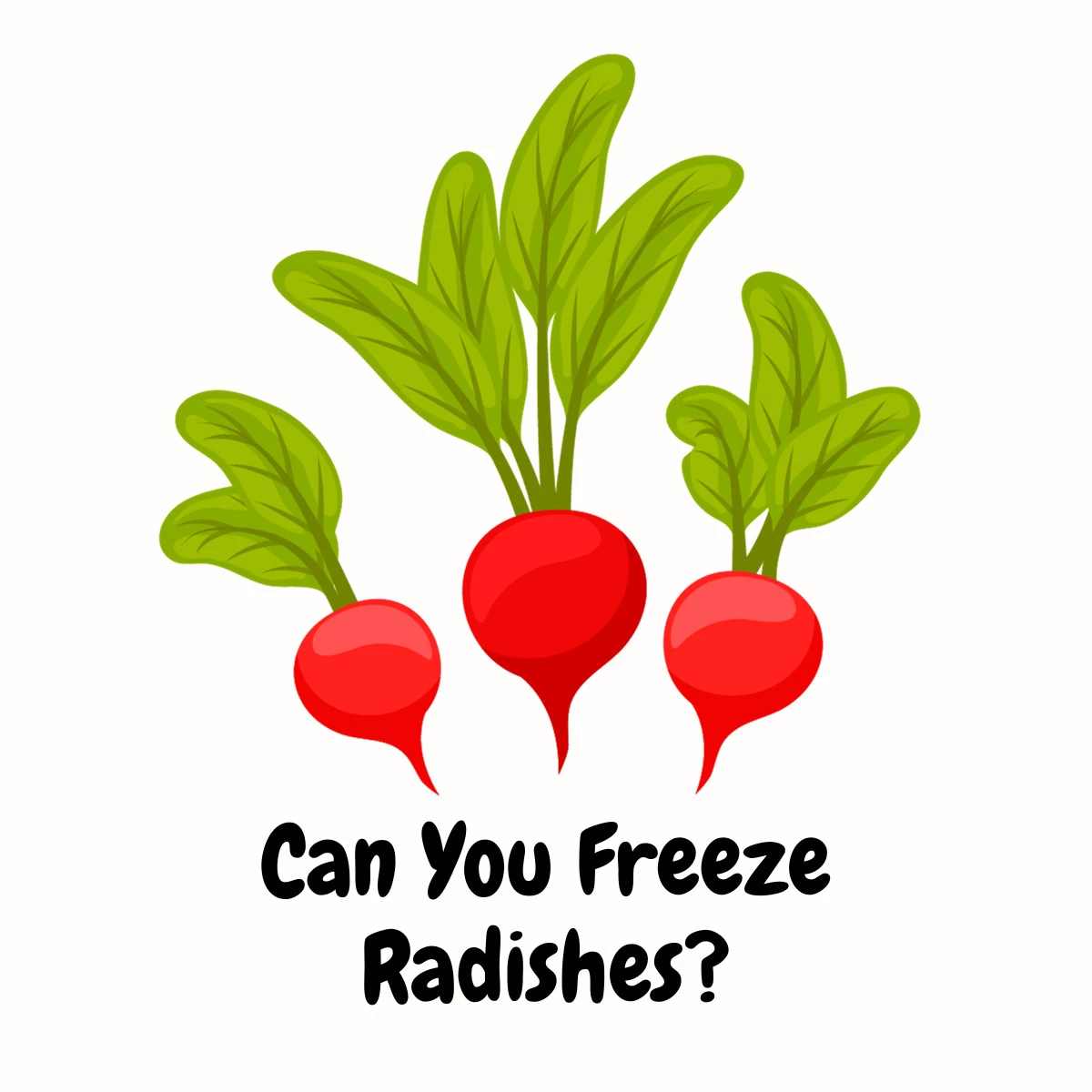 Can You Freeze Radishes featured image | Girl Meets Food