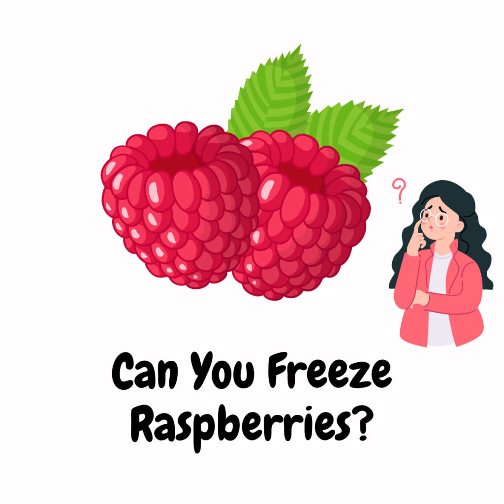 Can you Freeze Raspberries featured image | Girl Meets Food
