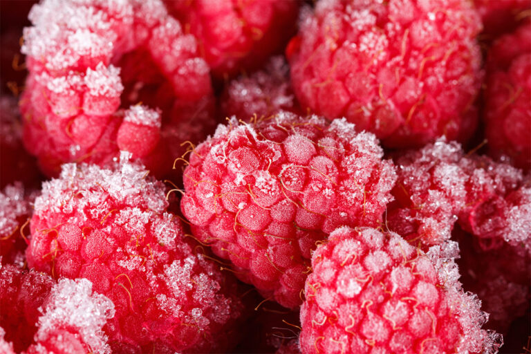 A Berrylicious Guide: How to Freeze Raspberries