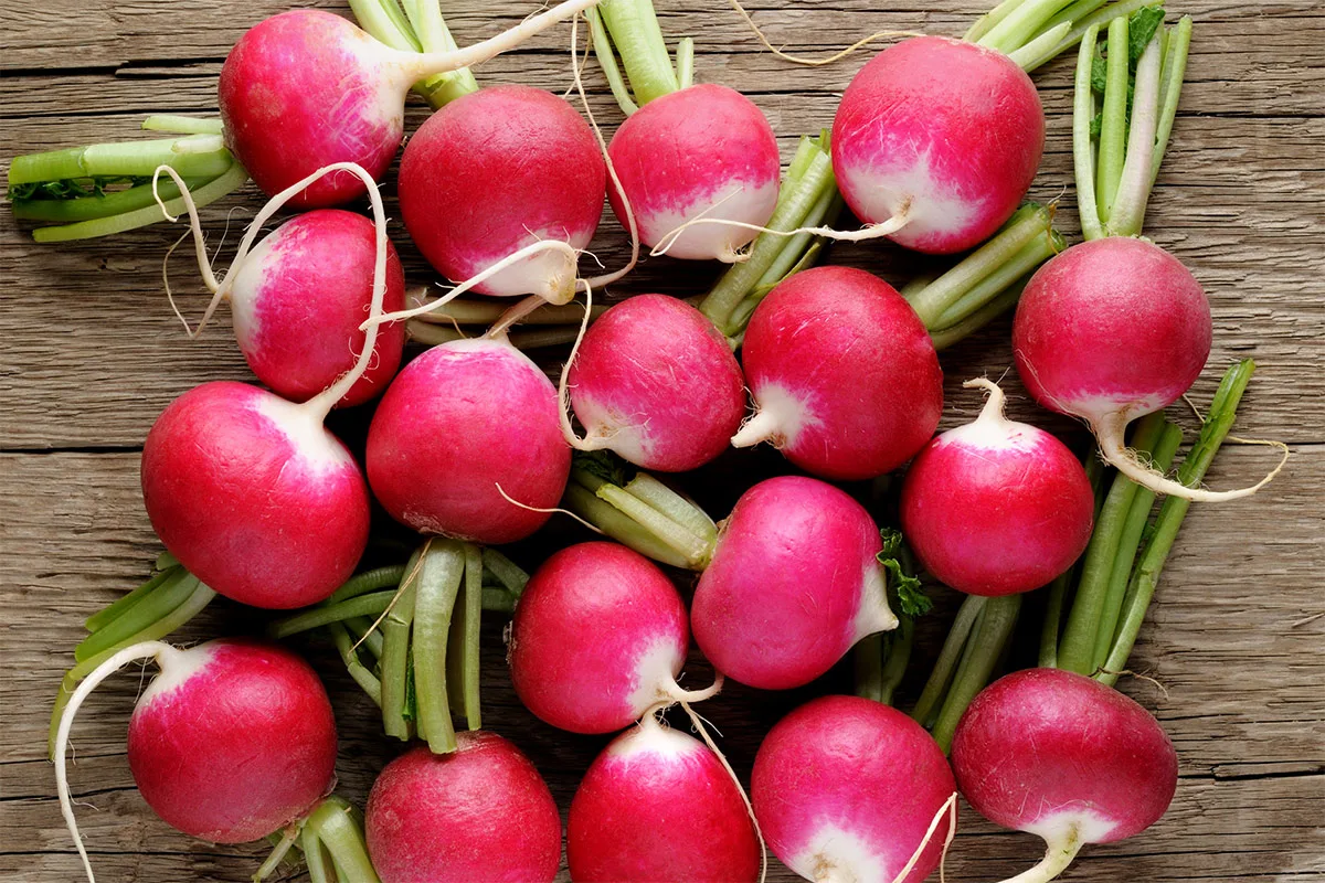 Fresh radishes on the wooden surface | Girl Meets Food