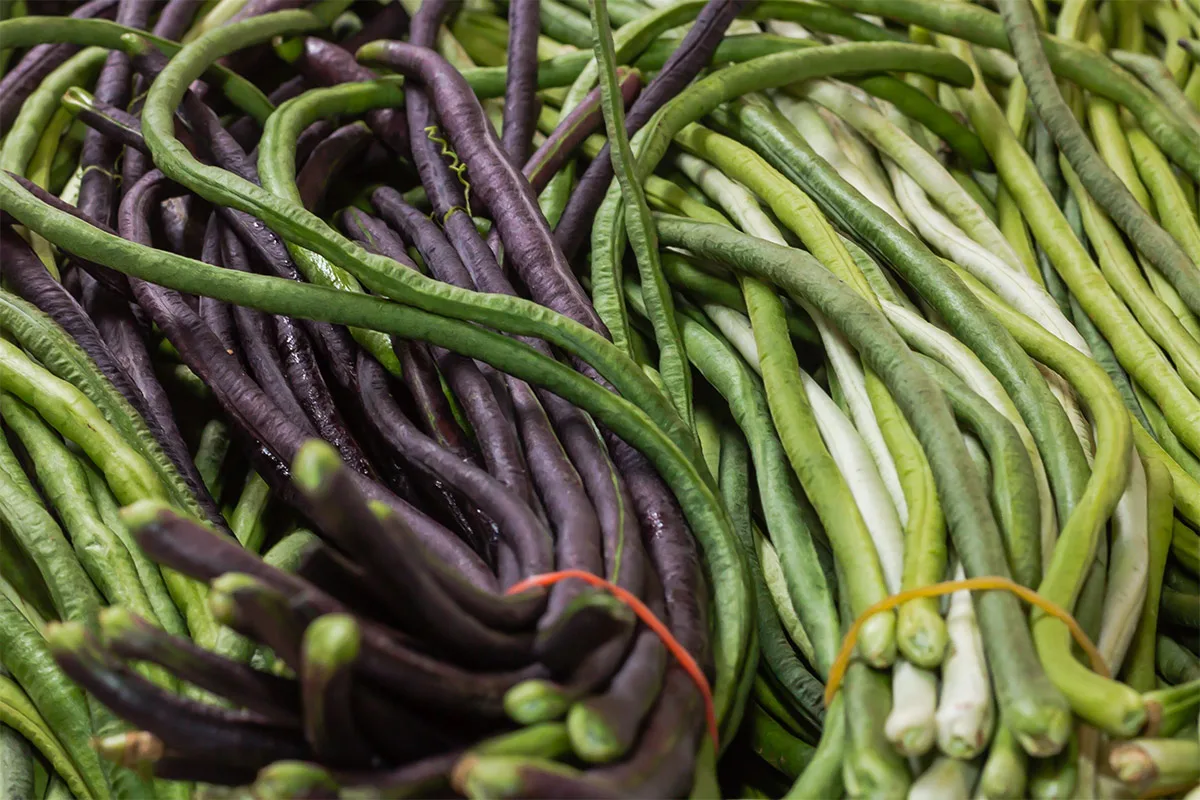 Black and green yardlong beans | Girl Meets Food