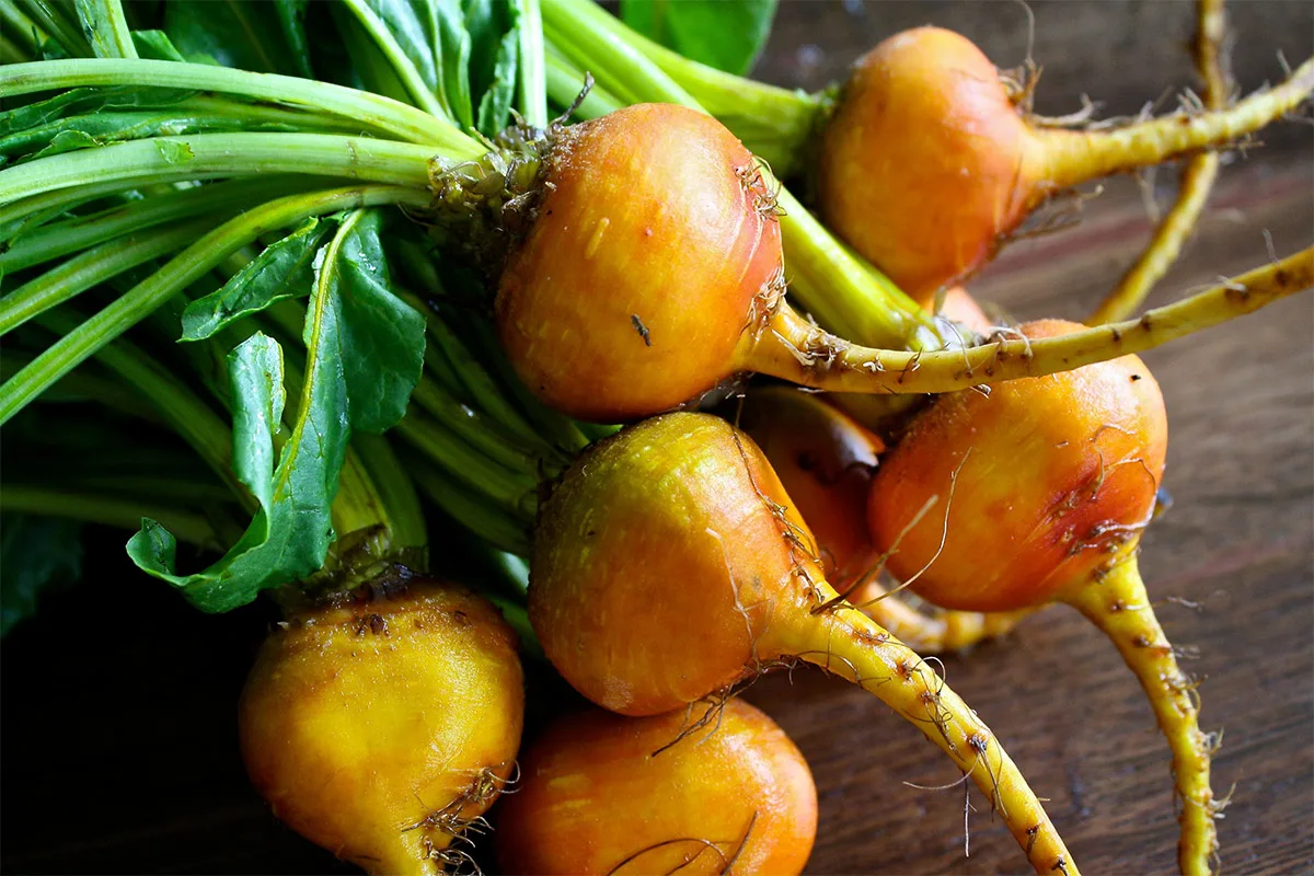 Yellow beets on wooden table | Girl Meets Food