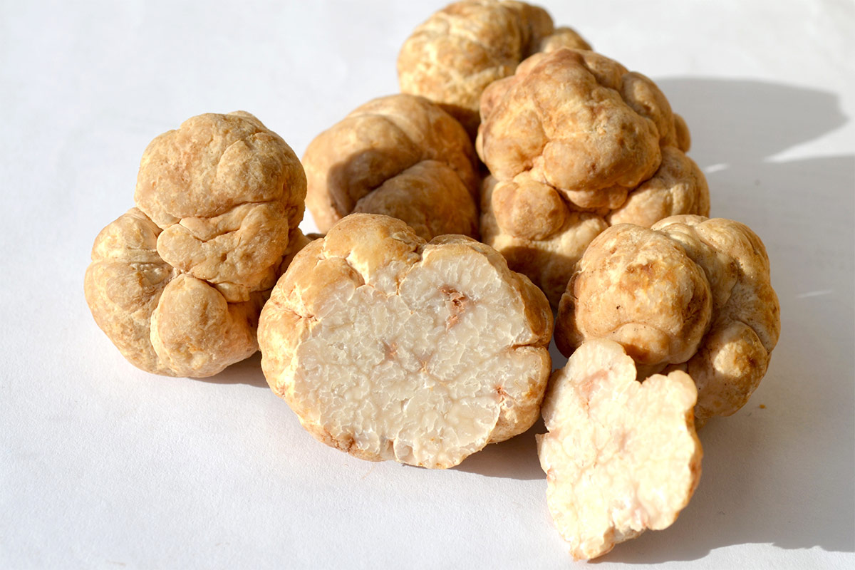 White truffles | Girl Meets Food