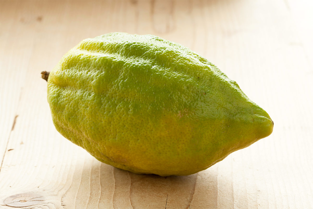 Yemenite citron on wooden surface | Girl Meets Food