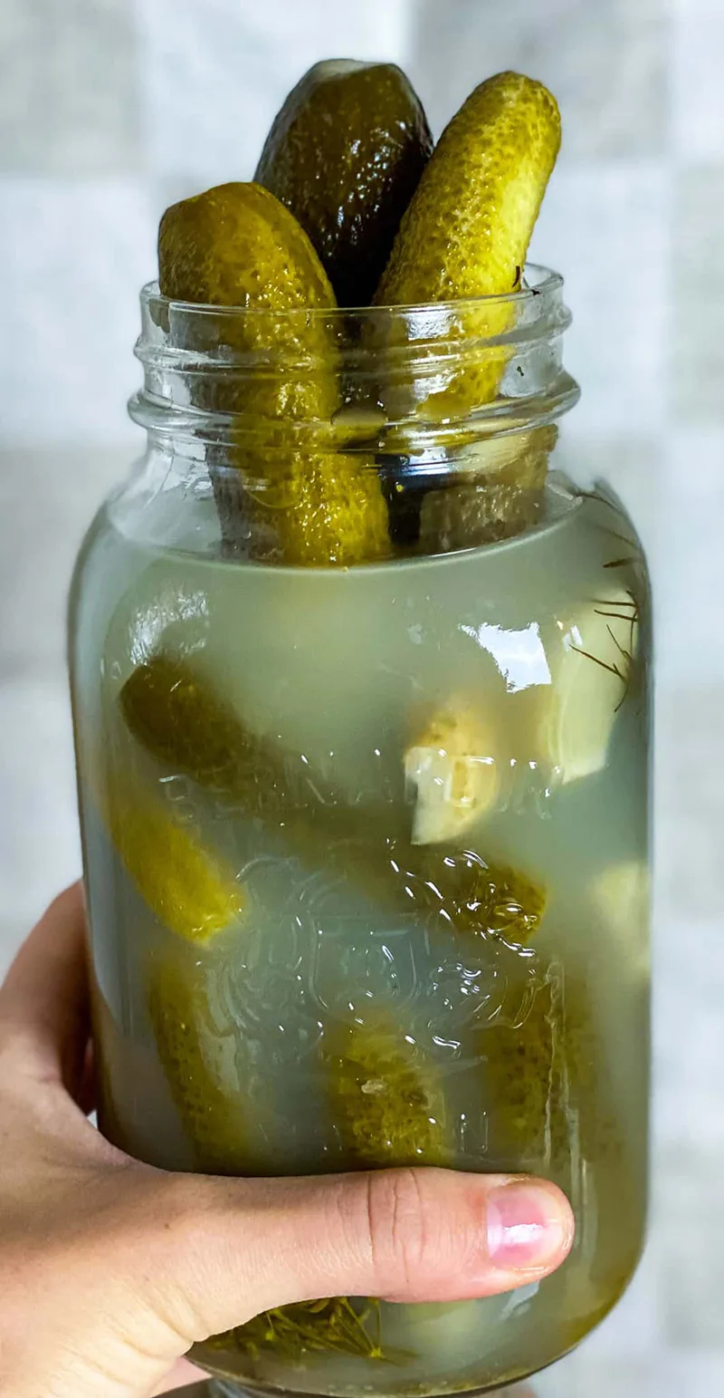 Someone's hand holds a jar of fermented dill pickles | Girl Meets Food