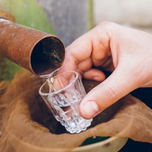 Making Polish bimber (moonshine) drink | Girl Meets Food