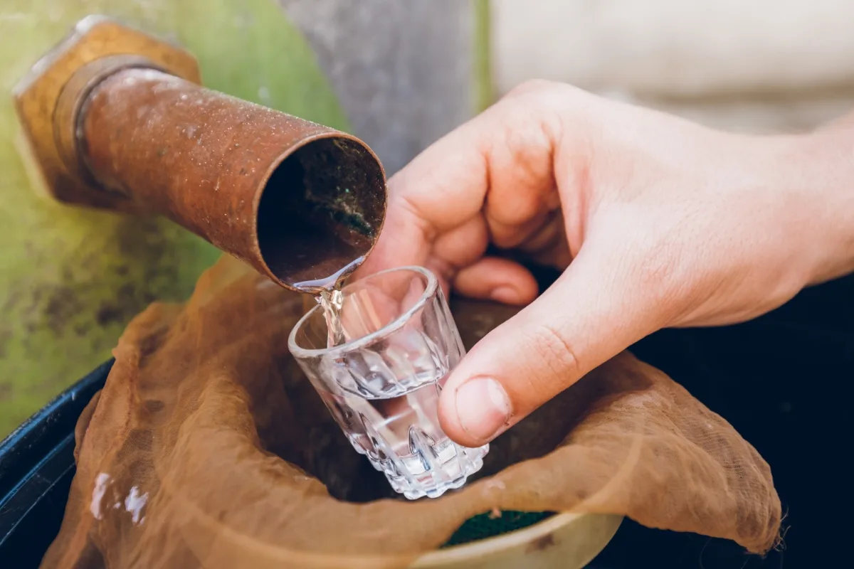 Making Polish bimber (moonshine) drink | Girl Meets Food